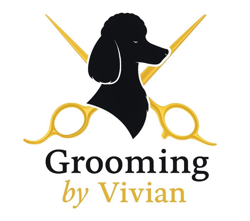 Book trusted mobile dog groomers in London with zero hassle. View availability, compare services, and book online instantly.