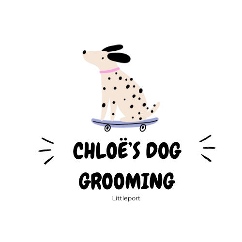 Book trusted mobile dog groomers in London with zero hassle. View availability, compare services, and book online instantly.