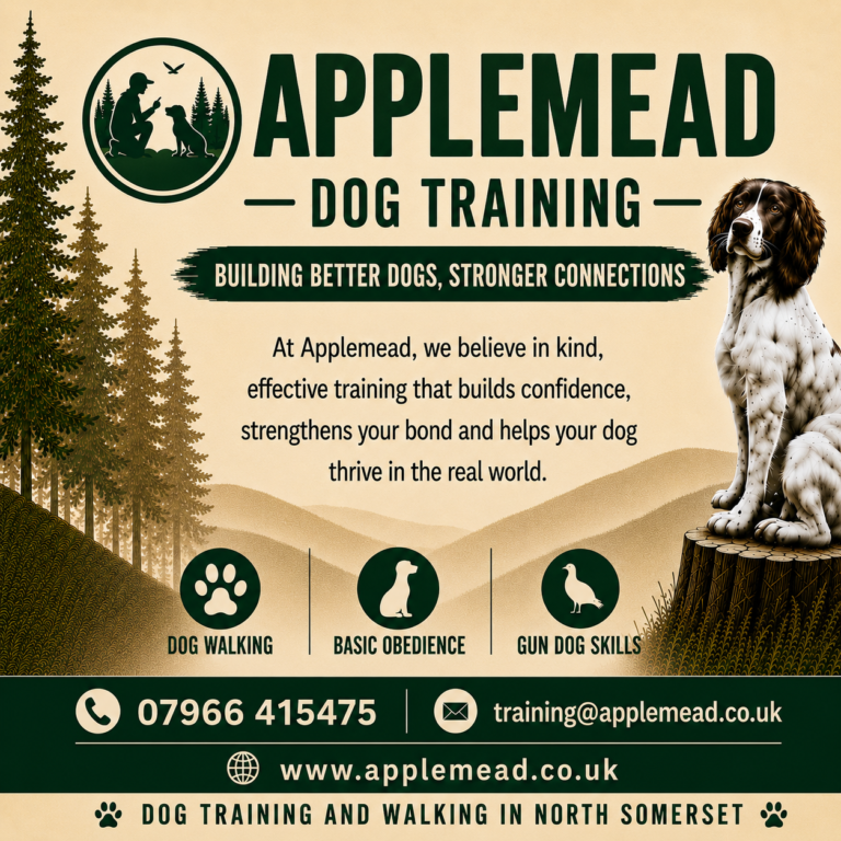 Applemead Dog Training Dog Trainer profile in Clevedon