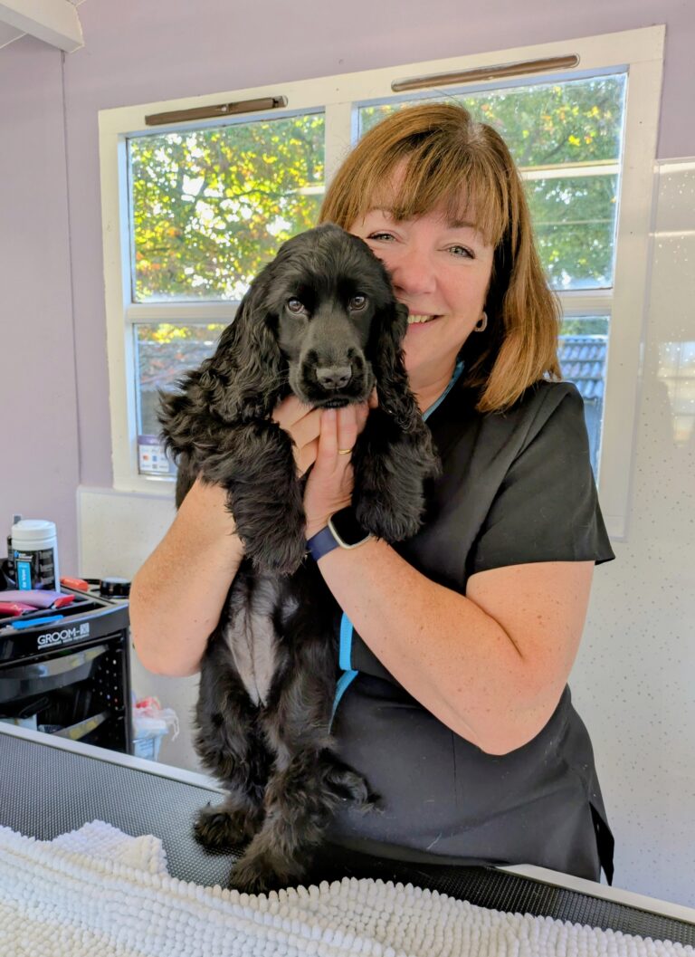 Yappy Ever After Dog Grooming Dog Groomer profile in Chelmsford