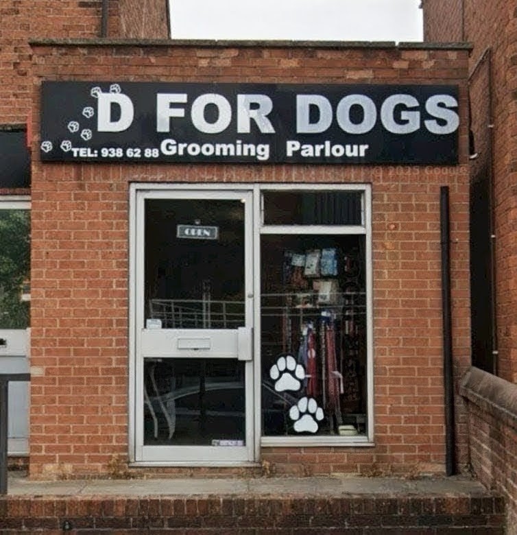 D For Dogs Dog Groomer profile in Kimberley