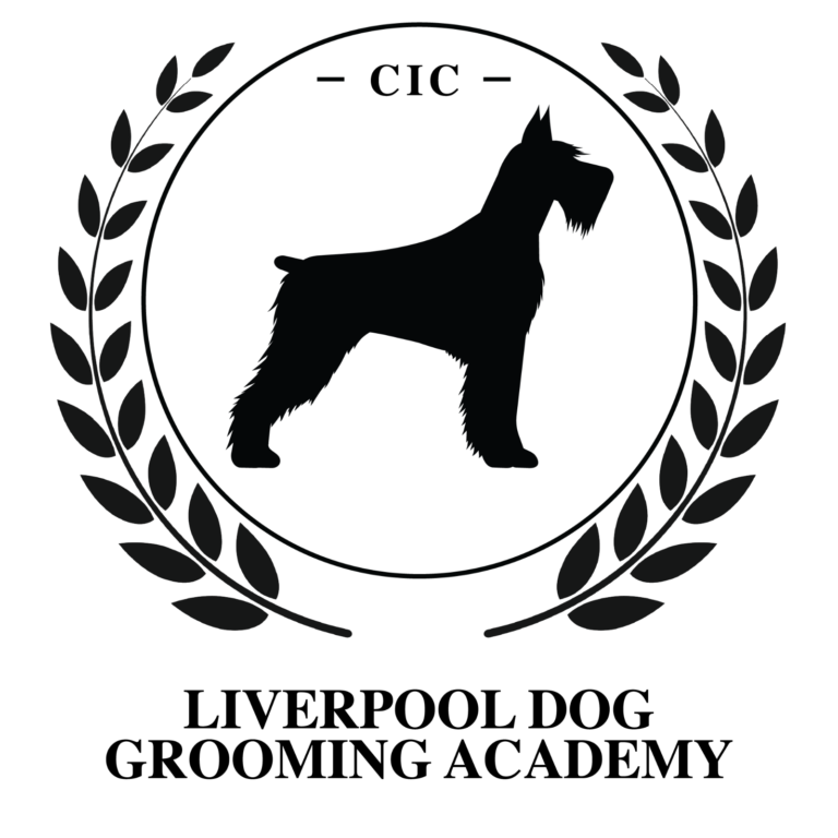 Liverpool Dog Grooming Academy Dog Groomer profile in Liverpool