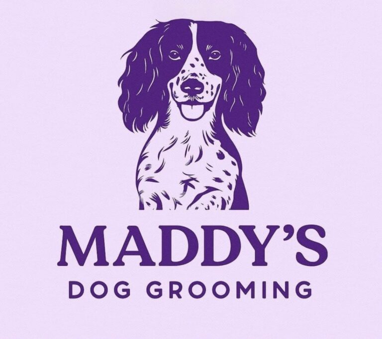 Maddys dog grooming Dog Groomer profile in Walderslade