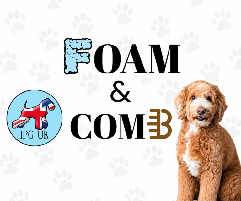 Foam and Comb Dog Groomer profile in Leicester