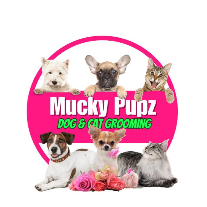 Mucky Pupz Dog & Cat Grooming Dog Groomer profile in Doncaster